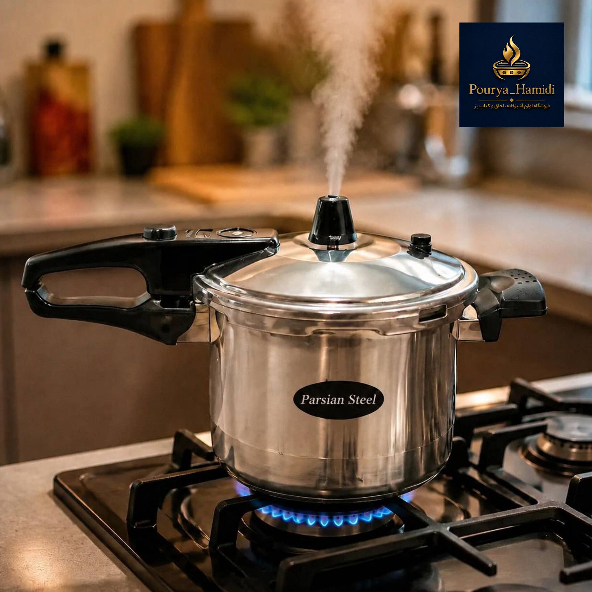 زودپز تک دسته پارسیان استیل